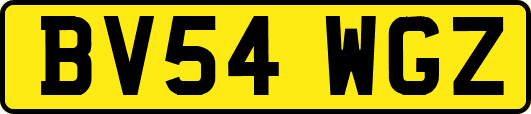 BV54WGZ