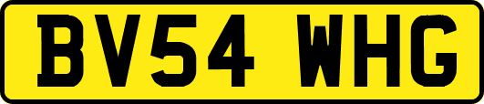 BV54WHG