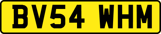 BV54WHM