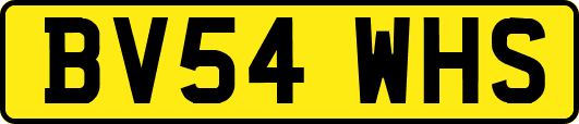 BV54WHS