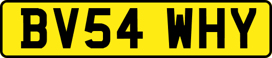 BV54WHY
