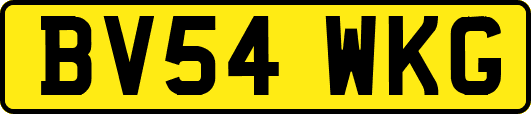 BV54WKG