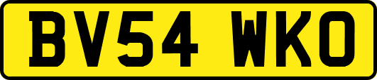 BV54WKO