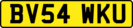 BV54WKU