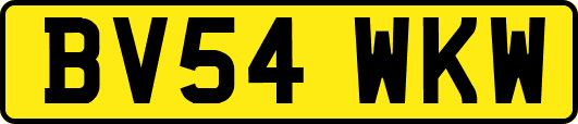 BV54WKW