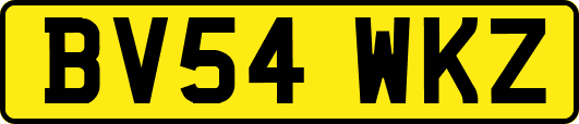 BV54WKZ