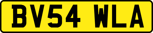BV54WLA