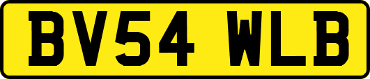 BV54WLB