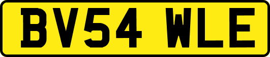 BV54WLE