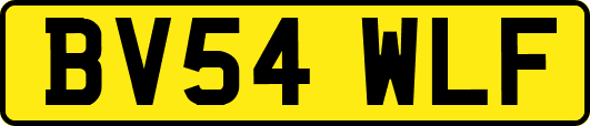 BV54WLF