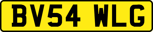 BV54WLG