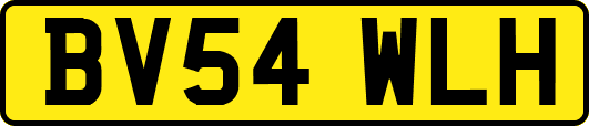 BV54WLH