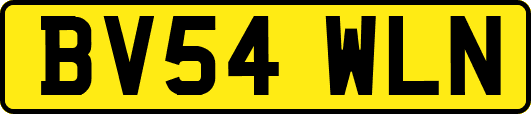 BV54WLN