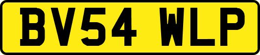 BV54WLP