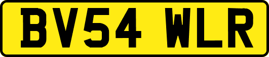 BV54WLR