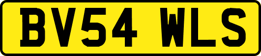 BV54WLS