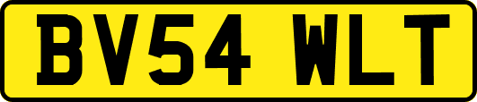 BV54WLT