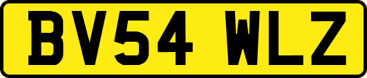 BV54WLZ