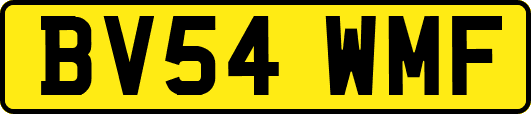 BV54WMF