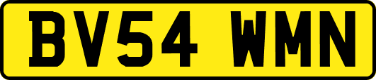 BV54WMN