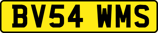 BV54WMS