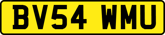 BV54WMU