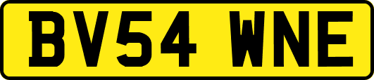 BV54WNE