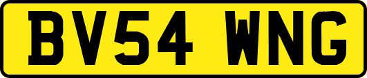 BV54WNG