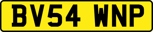 BV54WNP