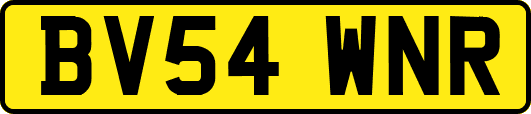 BV54WNR
