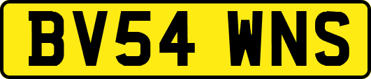 BV54WNS