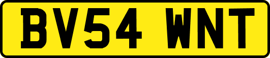 BV54WNT