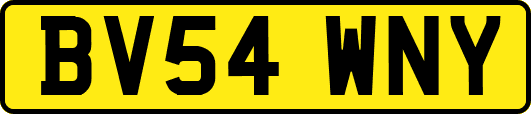 BV54WNY