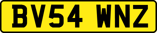 BV54WNZ