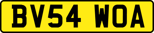 BV54WOA