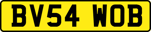 BV54WOB