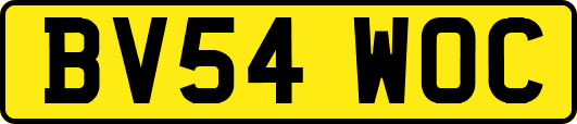 BV54WOC