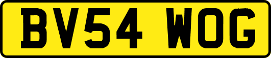 BV54WOG