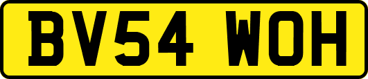 BV54WOH
