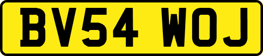 BV54WOJ