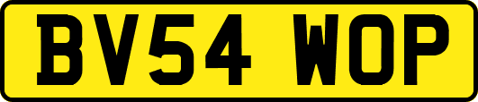 BV54WOP