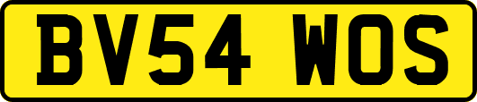BV54WOS