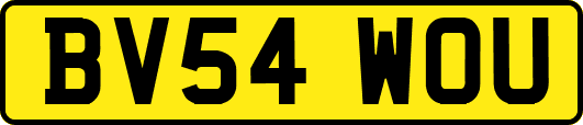 BV54WOU