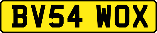 BV54WOX