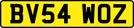 BV54WOZ