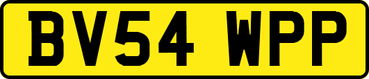 BV54WPP