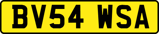 BV54WSA