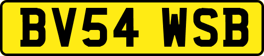 BV54WSB