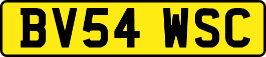 BV54WSC