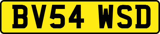 BV54WSD